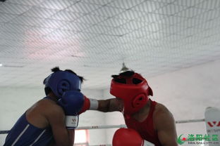 力量之搏 洛阳第十二届运动会拳击比赛圆满落幕