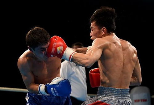 拳击世锦赛中国双雄晋级四强，明晨决战奥运资格