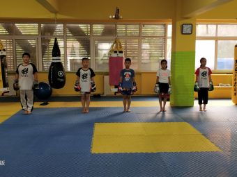 秦皇岛拳击 从健身热潮到赛事组织的蓬勃发展