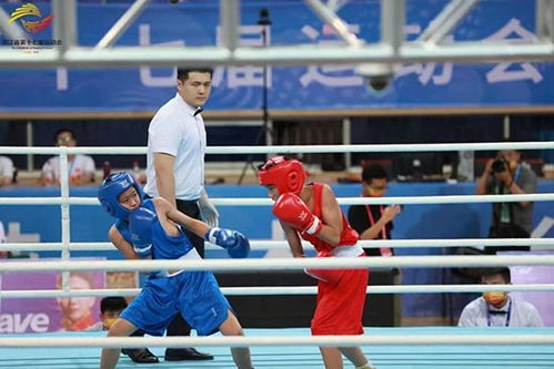 浙江省运动会拳击比赛圆满落幕，拳击运动赛事组织再上新台阶