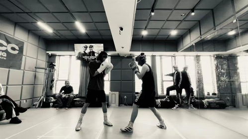 《热辣滚烫》效应 拳馆咨询量激增20%，七成为女性，拳击运动迎来新热潮