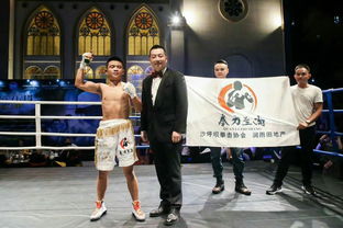 拳击运动赛事组织 从策划到执行的全方位指南