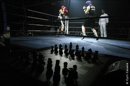 象棋拳击 德国兴起的身心对决新潮