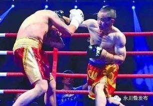 永川茶旅欢乐多 看拳王争霸、品六大名茶、解锁动物奥运会新玩法